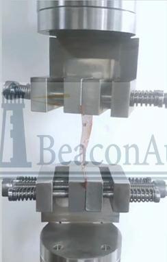 椎體切除模型拉壓試驗機